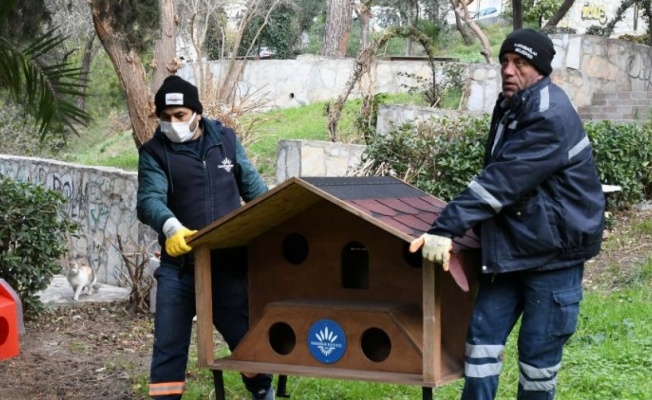 İzmir Karabağlar'da parklara kedi evleri yerleştiriliyor