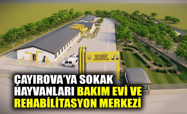 Çayırova’ya Sokak Hayvanları Bakım Evi ve Rehabilitasyon Merkezi