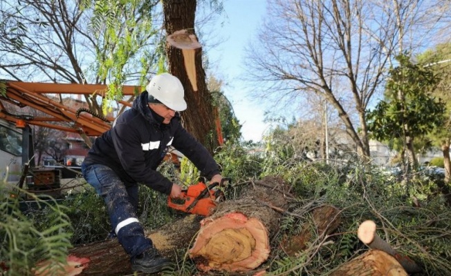 İzmir Gaziemir'de atık dallar evleri ısıtacak 