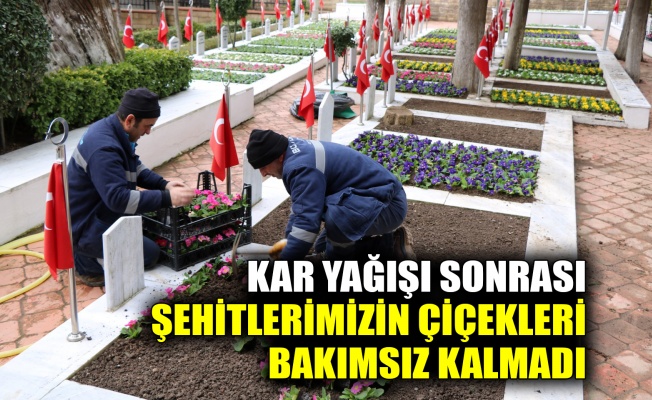 Kar yağışı sonrası şehitlerimizin çiçekleri bakımsız kalmadı