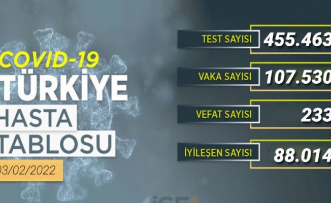 Son 24 saatte 233 kişiyi kaybettik