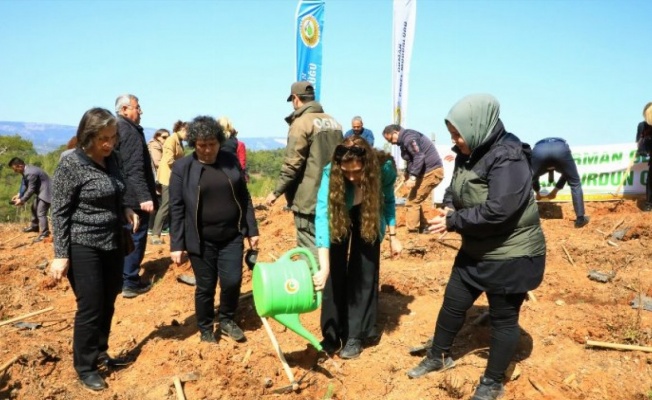 Avni Burak Yenice için hatıra ormanı oluşturuldu