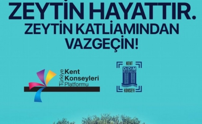 Didim Kent Konseyi Başkanı Ayyıldız: "Zeytin yaşamdır..."