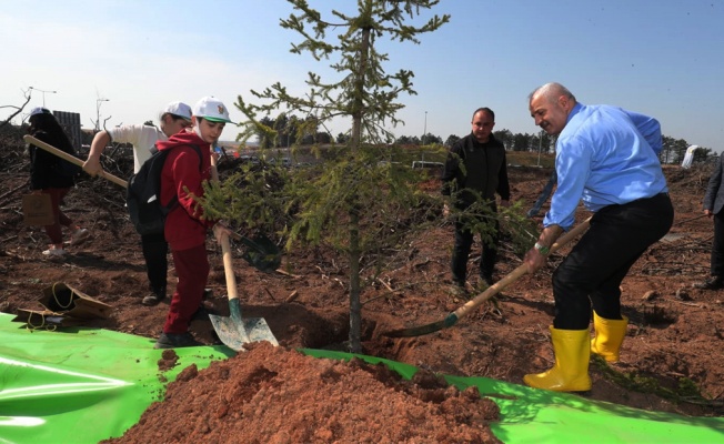 Gebze’de fidanlar toprakla buluştu