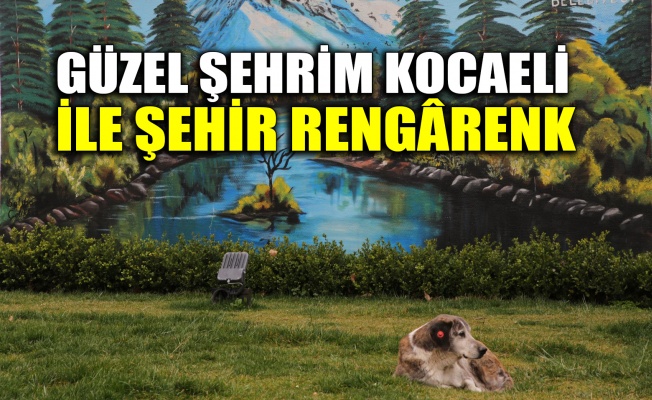 Güzel Şehrim Kocaeli ile şehir rengârenk