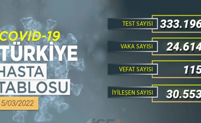 Son 24 saatte 115 kişi hayatını kaybetti