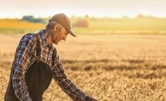 Tarım Ürünleri Üretici Fiyat Endeksi belli oldu