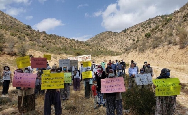 Beypazarı Doğanyurt’ta yaban hayatı kazandı!