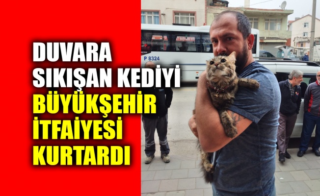 Duvara sıkışan kediyi Kocaeli Büyükşehir İtfaiyesi kurtardı