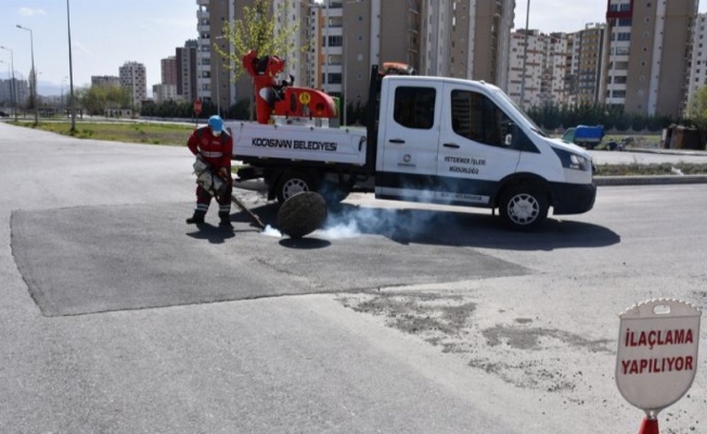 Kayseri Kocasinan'da haşereyle mücadele 