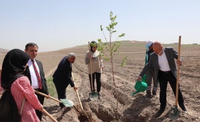 Kayseri Kocasinan 'Vuslat Ormanı' ile nefes alacak 