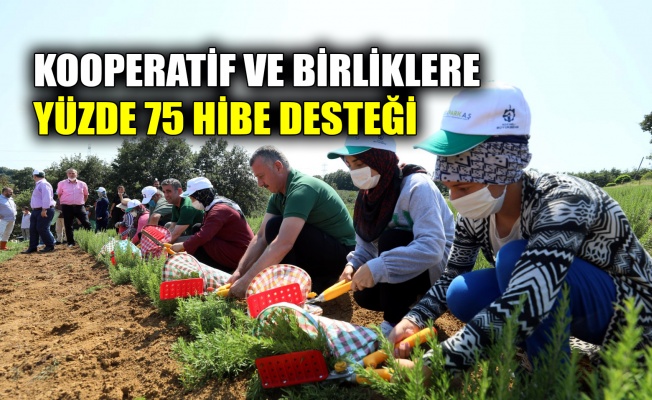 Kooperatif ve birliklere yüzde 75 hibe desteği