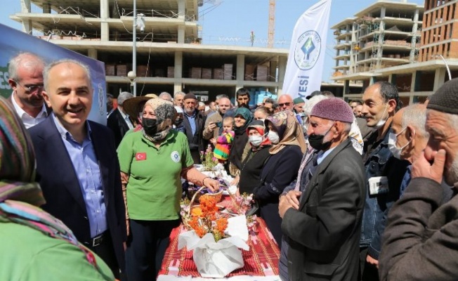 Rize Belediyesi 53 bin ata tohumu dağıttı