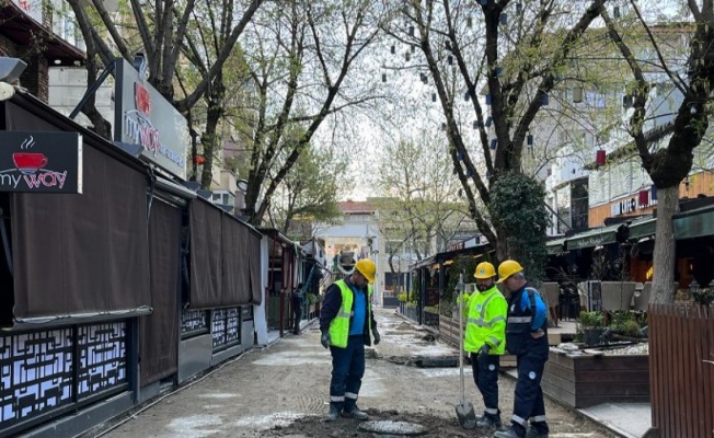 Sakarya Kafeler Sokağı yenilenen yüzüyle bölgeye değer katacak