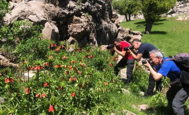  17 fotoğrafçı Batman Sason’u resimledi