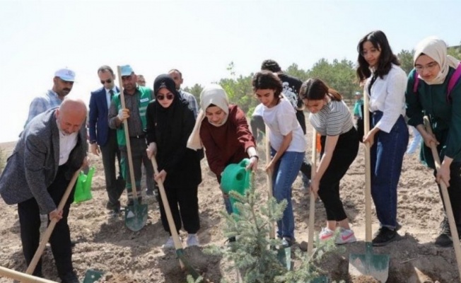 Kayseri Kocasinan'da fidanlar dikildi 