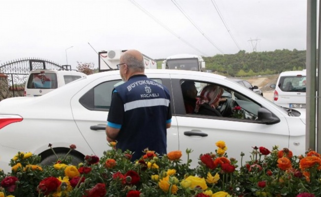 Kocaeli mezarlıklarına 5 bin adet mevsimlik çiçek