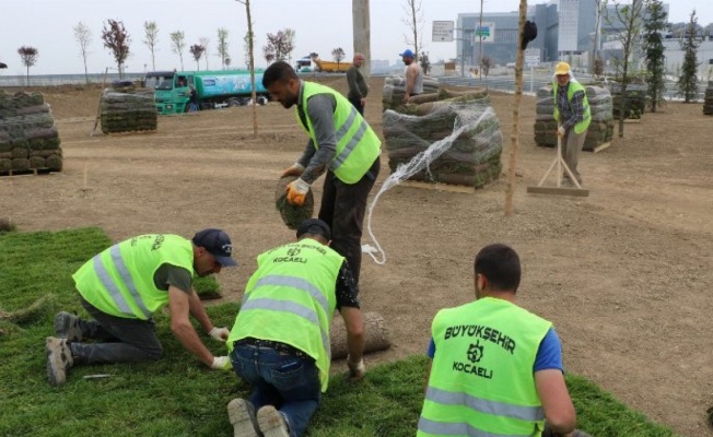 Kocaeli Şehir hastanesi yolunda çevre düzenlemesi hızlandı