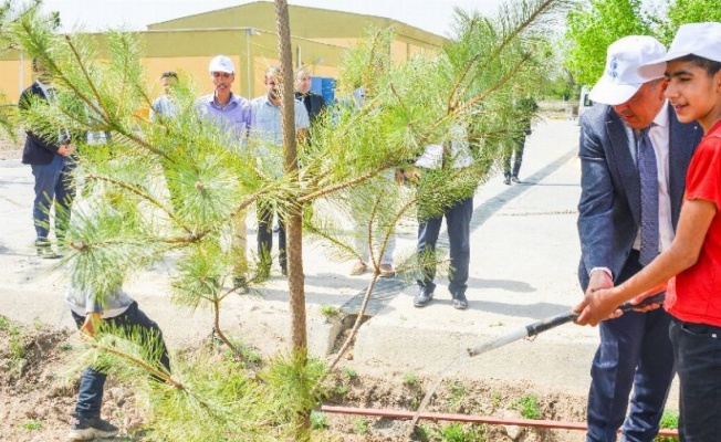 Malatya'da 300 fidan dikildi 