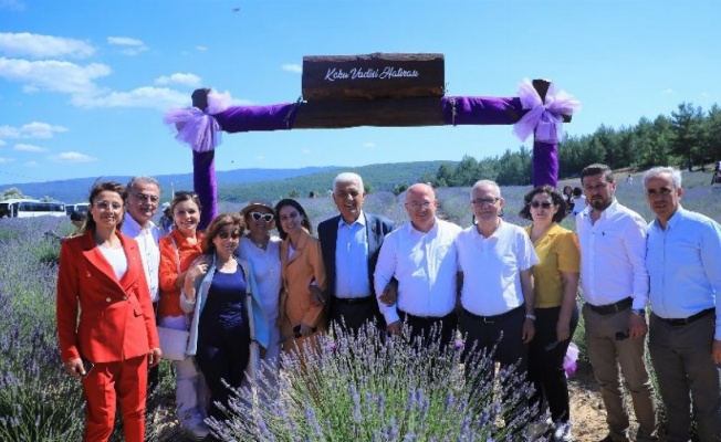 Muğla'da Lavanta Şenliği başladı