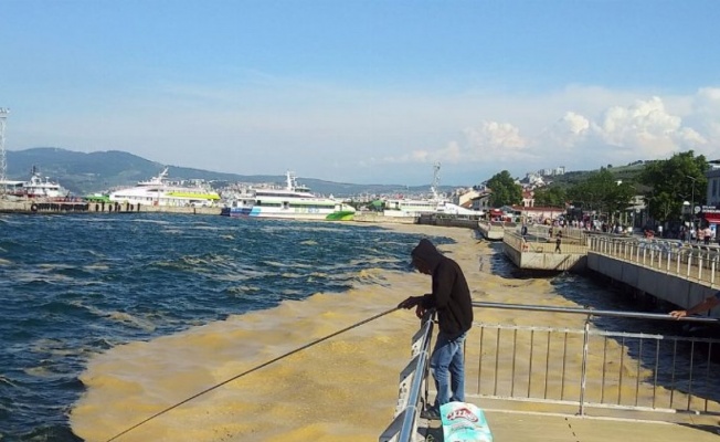 TBMM Genel Kurulu'nda yasalaştı... Müsilajla mücadelede yeni dönem