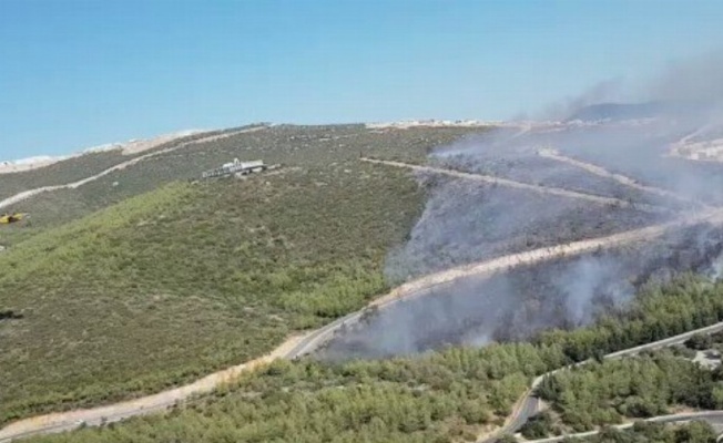 Muğla Milas'taki orman yangınına müdahale sürüyor