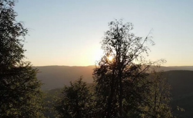 Bursa'da yaban hayatı fotokapanlara yansıdı