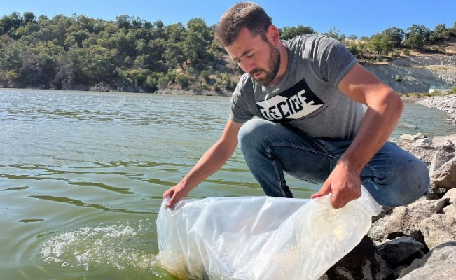 30 bin yavru sazan göletlere salındı