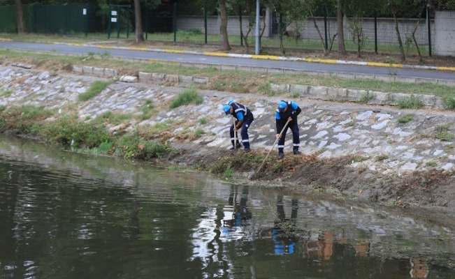 Sakarya Çark Deresi'nde rutin temizlik