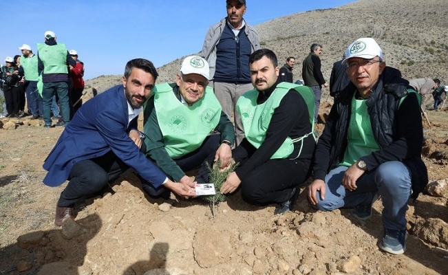 Kayseri Yahyalı'da binlerce fidan toprakla buluştu