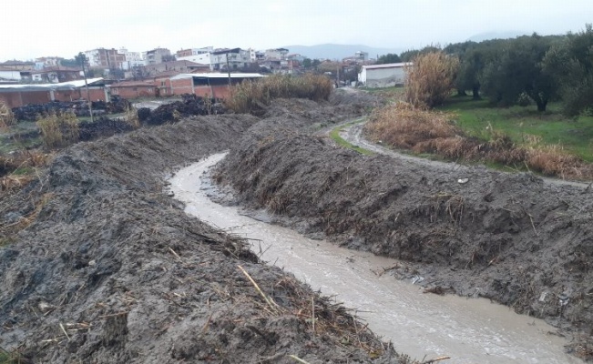 Manisa Zeytinliova’da dere temizliği