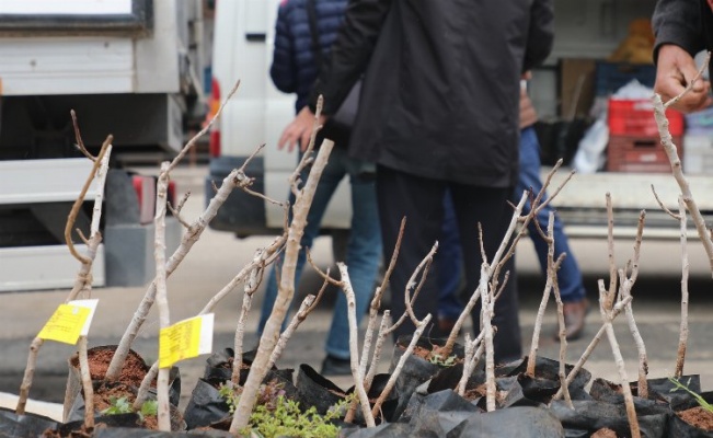 Konya'da kırsala 'Antep Fıstığı' desteği