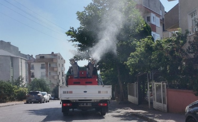 Çayırova’da vektörle mücadele sürüyor