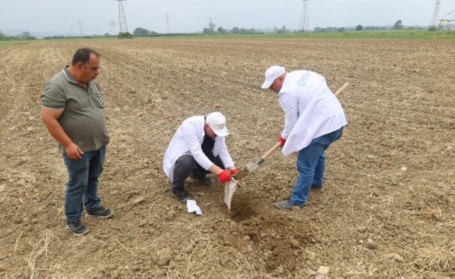 Kocaeli'de çiftçilere ücretsiz toprak analizi