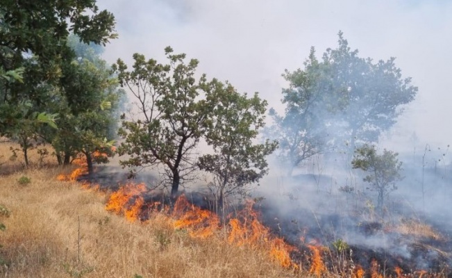Manisa'da ormanlık alanı tehdit eden yangın