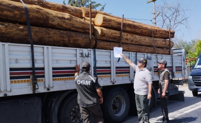 Mobil orman kontrol noktaları denetimde