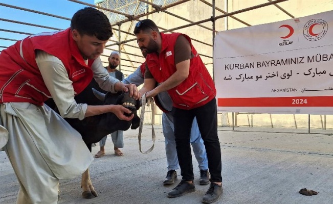 Türk Kızılay'ın kurban kesimleri 19 ülkede sürüyor