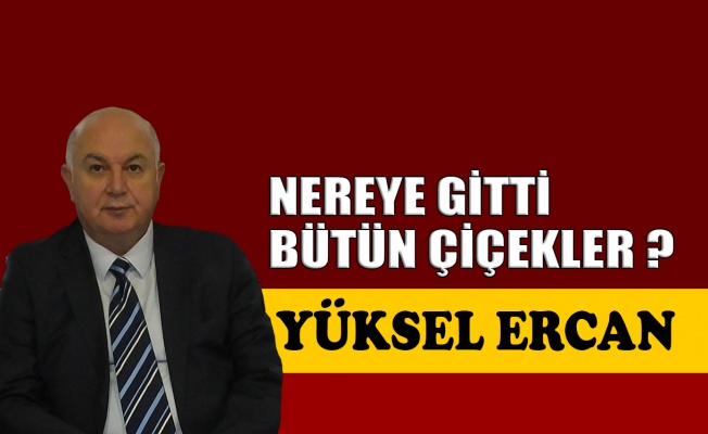 Nereye gitti bütün çiçekler ?