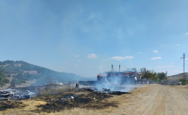 Tokat'ta çıkan yangında 5 ev hasar gördü