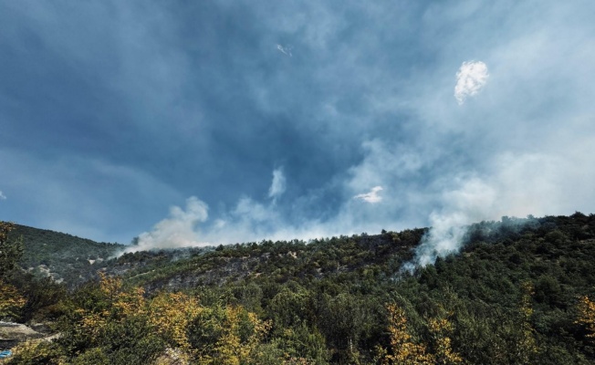 Tokat'ta ormanlık alanda çıkan yangına müdahale ediliyor