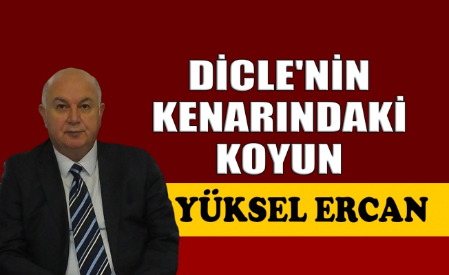 Dicle'nin kenarındaki koyun