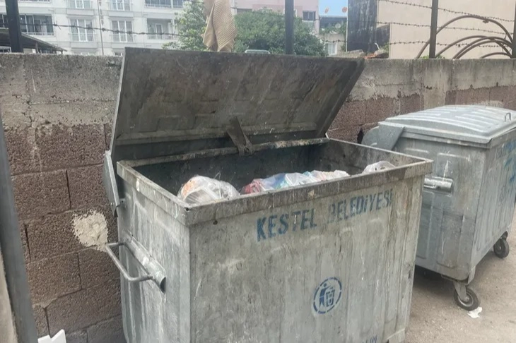 Kestel kötü kokular ile burun buruna