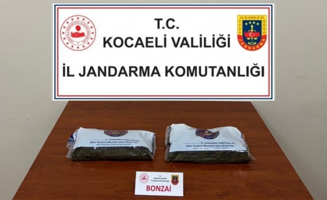 Kocaeli Jandarması’ndan uyuşturucu operasyonu