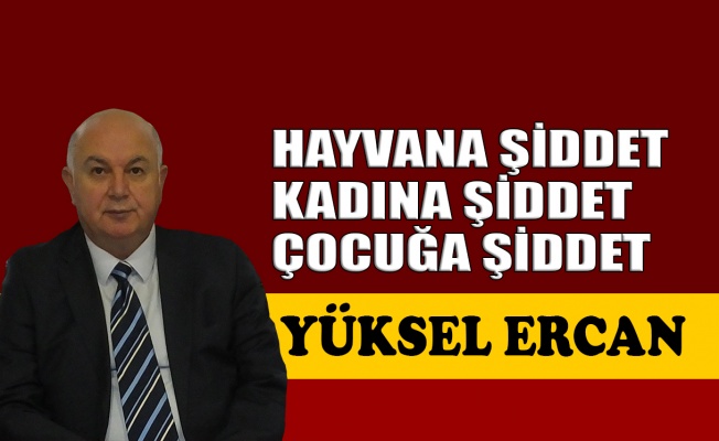 Hayvana şiddet, kadına şiddet, çocuğa şiddet