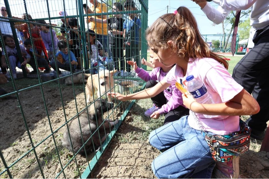 İnegöl'de hayvanları koruma gününe renkli kutlama