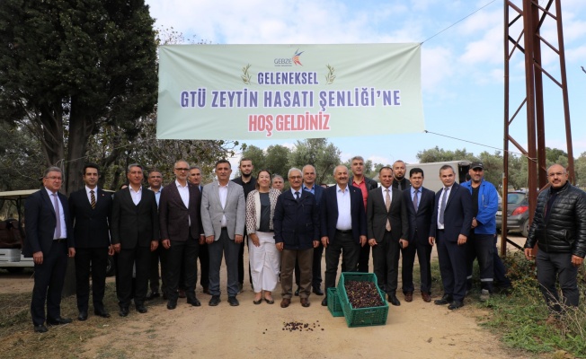 GTÜ’de 4. Geleneksel Zeytin Hasadı Şenliği gerçekleştirildi