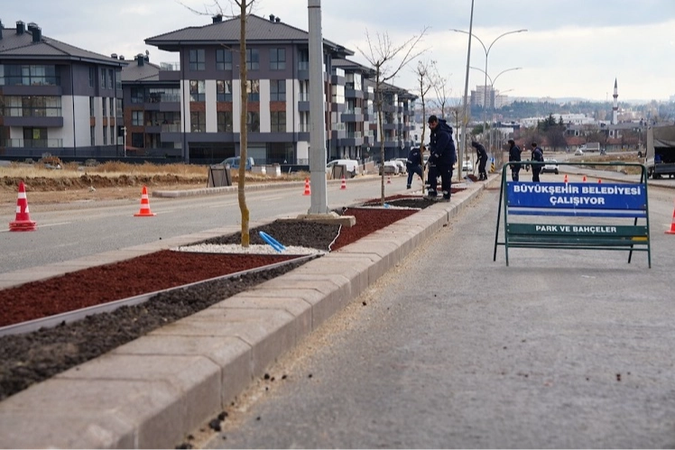 Eskişehir Büyükşehir'den 'kuru peyzaj' çalışması