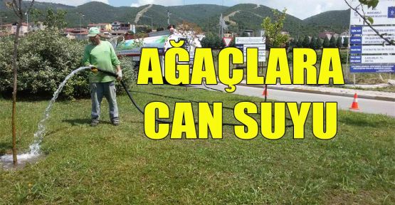 Ağaçlara can suyu