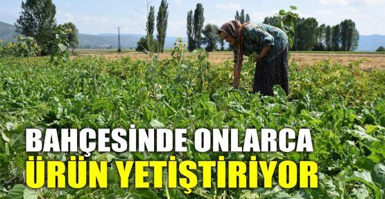  Bahçesinde onlarca ürün yetiştiriyor