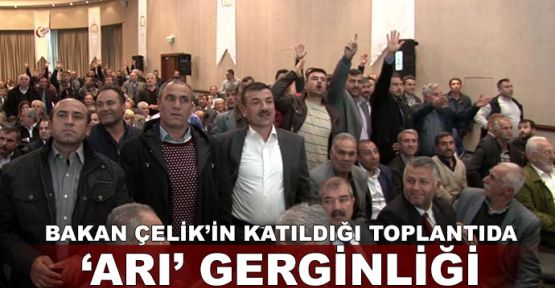 Bakan Çelik'in katıldığı toplantıda 'arı' gerginliği